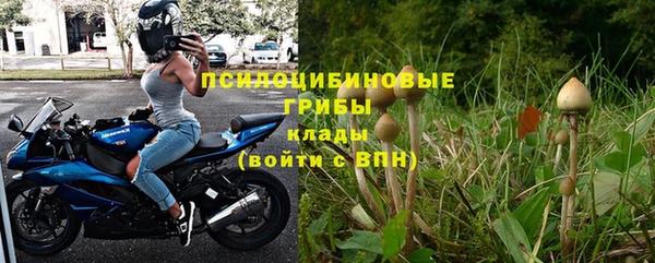 стаф Алзамай