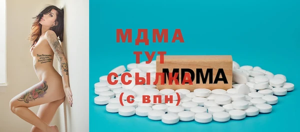 стаф Алзамай