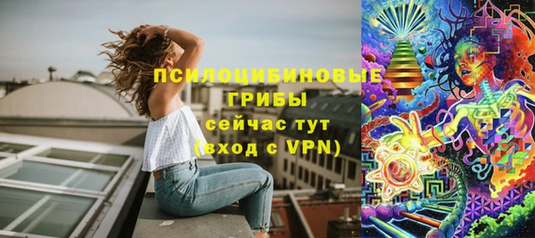 стаф Алзамай