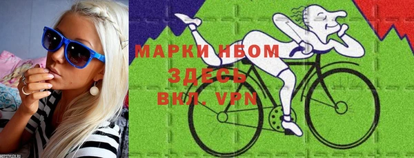 стаф Алзамай