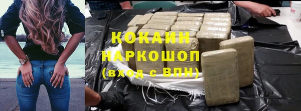 крисы Алексин