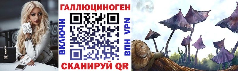 ОМГ ОМГ tor  Бикин  Псилоцибиновые грибы мухоморы  где найти  